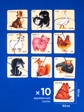 КП Животные