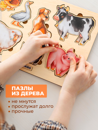 Рамка-вкладыш Животные 275х200